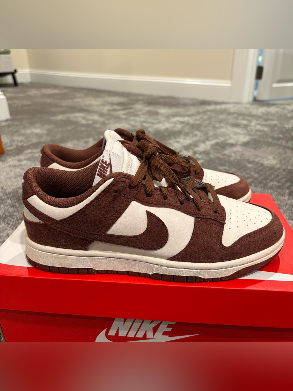 Nike Dunk Low Next Nature Red Sepia Shoes Womens U.S. 8 W/Box